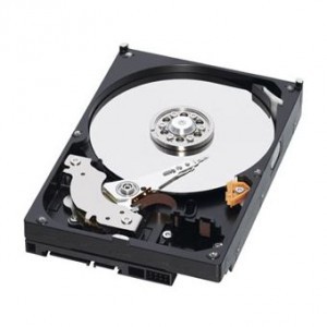 WD 500GB RE3 - SATA (WD5002ABYS)