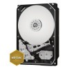 WD 6TB Gold SATAIII 256MB 7200RPM (WD6003FRYZ)