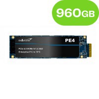 960GB Exascend PE4 NAND Flash SSD Enterprise NVMe PCIe E1.S 3D T