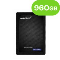 960GB Exascend PE4 NAND Flash SSD Enterprise NVMe PCIe U.2 3D TL