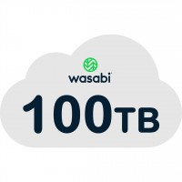 Wasabi WRCS-100TB-3Y