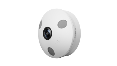 Synology FC600 fisheye IP camera