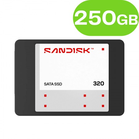 250GB SanDisk 320 SATA 2,5 SSD SDSS31250GBB-000G0