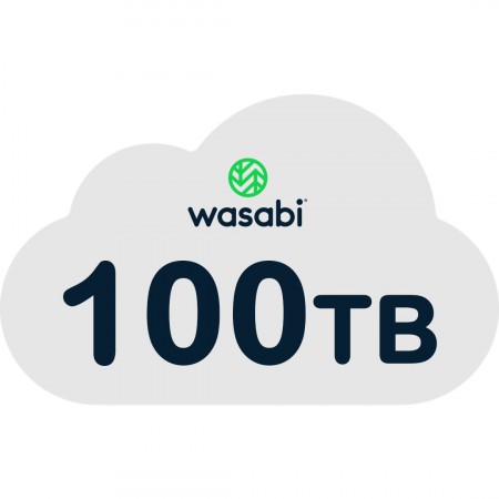 Wasabi WRCS-100TB-1Y