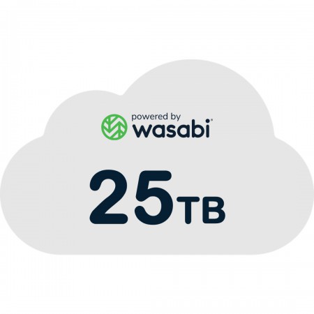 Wasabi RCS-25TB-1Y