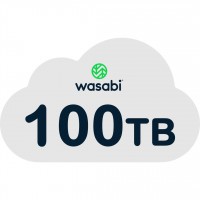 Wasabi WRCS-100TB-1Y
