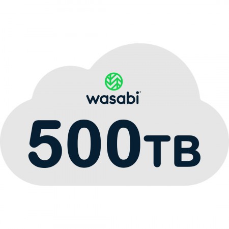 Wasabi RCS-500TB-3Y